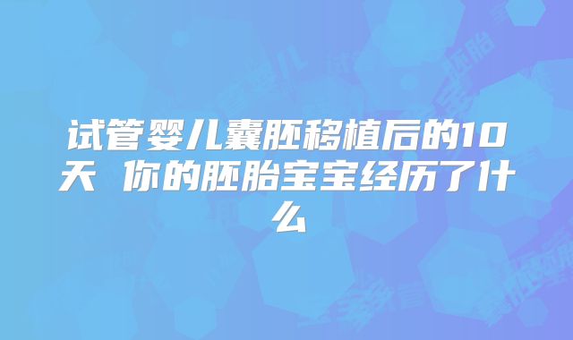 试管婴儿囊胚移植后的10天 你的胚胎宝宝经历了什么