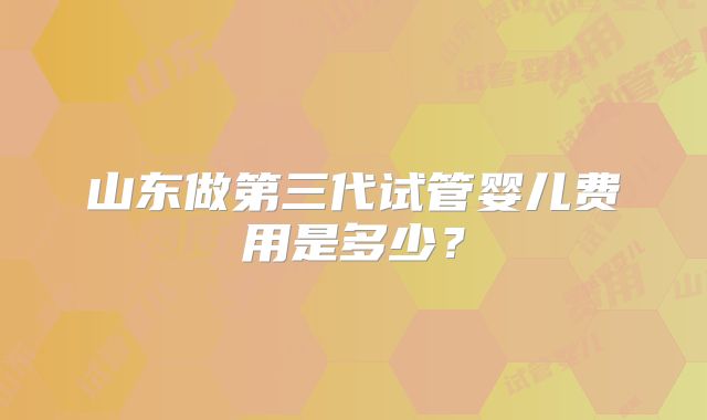 山东做第三代试管婴儿费用是多少？