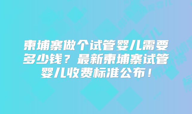 柬埔寨做个试管婴儿需要多少钱？最新柬埔寨试管婴儿收费标准公布！