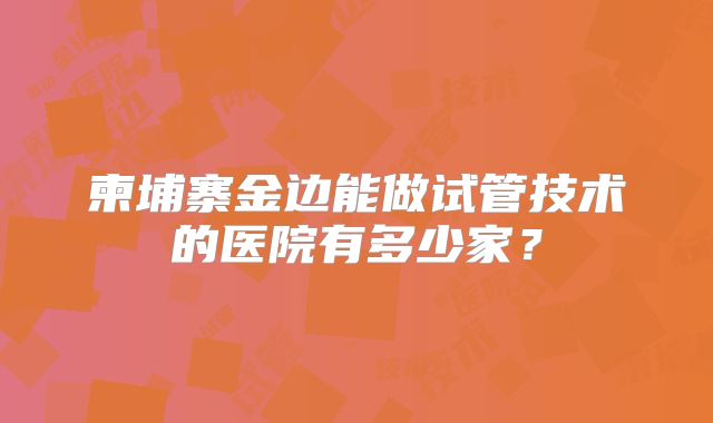 柬埔寨金边能做试管技术的医院有多少家？