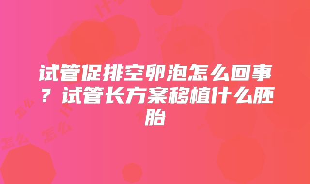 试管促排空卵泡怎么回事？试管长方案移植什么胚胎