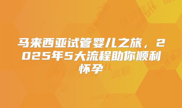 马来西亚试管婴儿之旅，2025年5大流程助你顺利怀孕