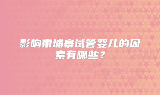 影响柬埔寨试管婴儿的因素有哪些？