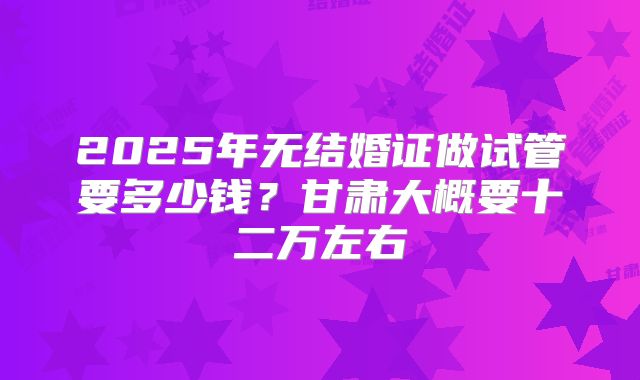 2025年无结婚证做试管要多少钱?甘肃大概要十二万左右