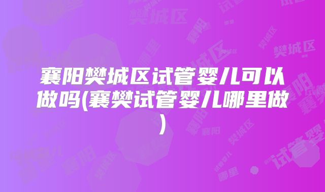襄阳樊城区试管婴儿可以做吗(襄樊试管婴儿哪里做)