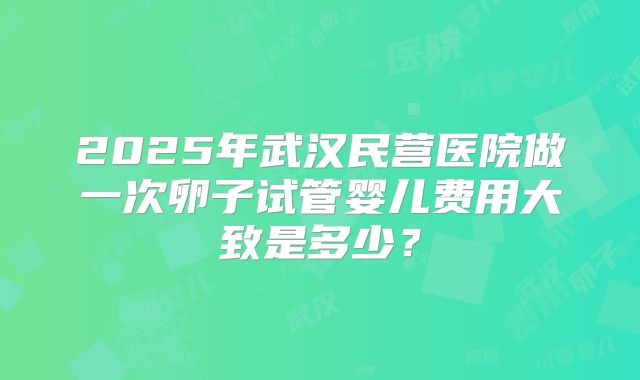 2025年武汉民营医院做一次卵子试管婴儿费用大致是多少？