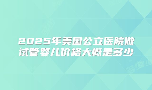 2025年美国公立医院做试管婴儿价格大概是多少