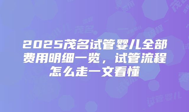 2025茂名试管婴儿全部费用明细一览，试管流程怎么走一文看懂