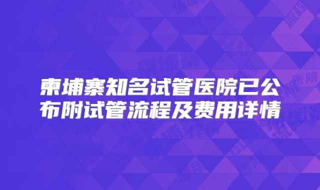 柬埔寨知名试管医院已公布附试管流程及费用详情