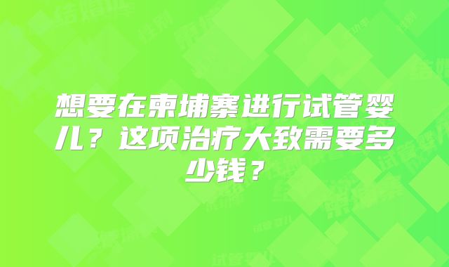 想要在柬埔寨进行试管婴儿？这项治疗大致需要多少钱？