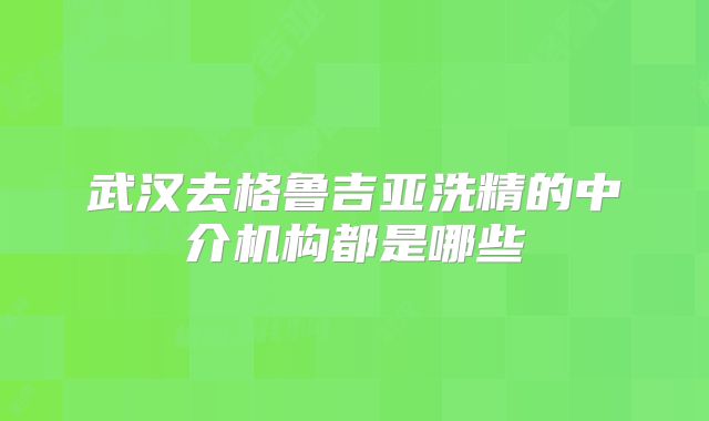 武汉去格鲁吉亚洗精的中介机构都是哪些