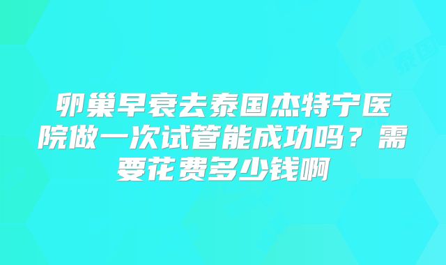 卵巢早衰去泰国杰特宁医院做一次试管能成功吗?需要花费多少钱啊