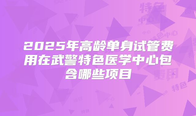 2025年高龄单身试管费用在武警特色医学中心包含哪些项目