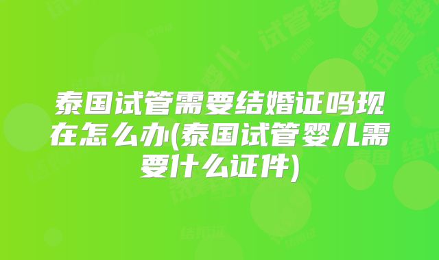 泰国试管需要结婚证吗现在怎么办(泰国试管婴儿需要什么证件)