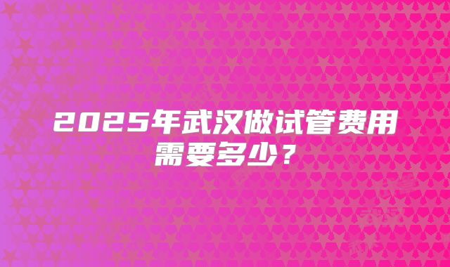 2025年武汉做试管费用需要多少？