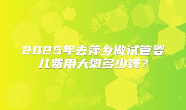 2025年去萍乡做试管婴儿费用大概多少钱？