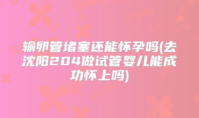 输卵管堵塞还能怀孕吗(去沈阳204做试管婴儿能成功怀上吗)