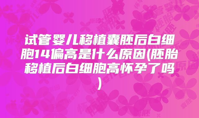 试管婴儿移植囊胚后白细胞14偏高是什么原因(胚胎移植后白细胞高怀孕了吗)