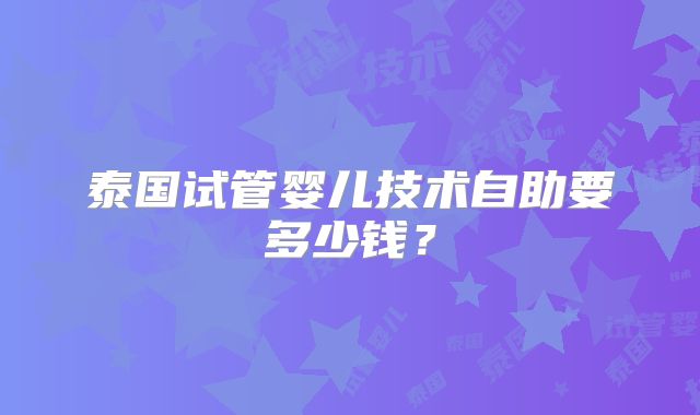 泰国试管婴儿技术自助要多少钱？