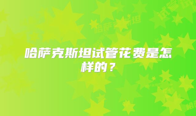 哈萨克斯坦试管花费是怎样的？