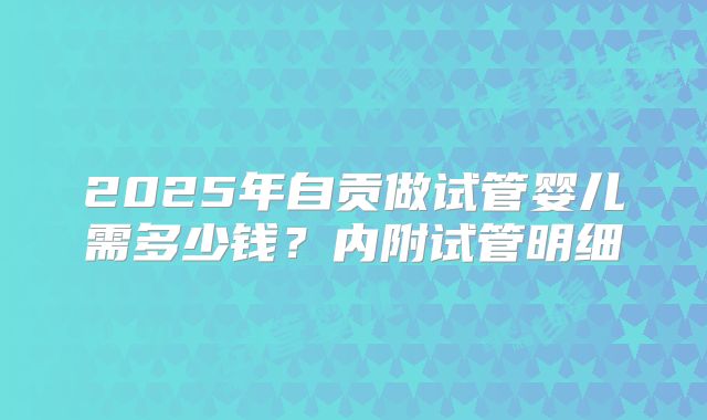 2025年自贡做试管婴儿需多少钱？内附试管明细