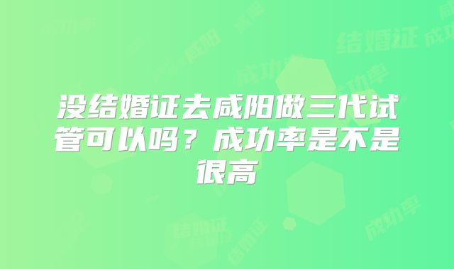 没结婚证去咸阳做三代试管可以吗？成功率是不是很高
