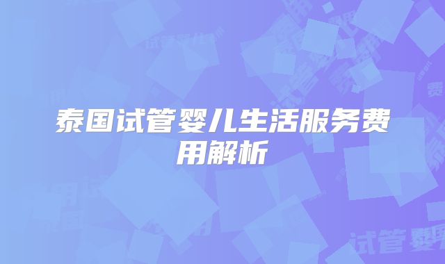 泰国试管婴儿生活服务费用解析
