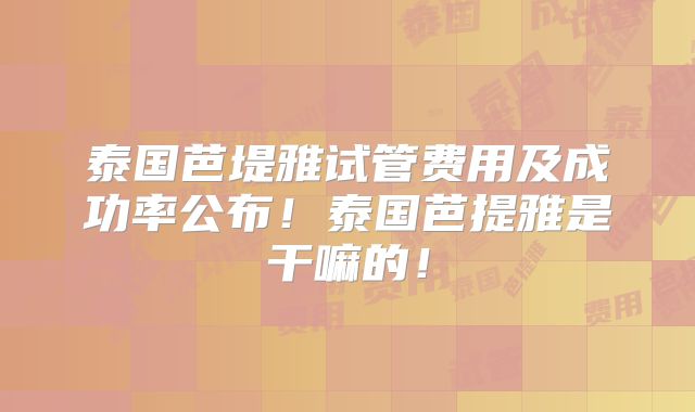泰国芭堤雅试管费用及成功率公布！泰国芭提雅是干嘛的！