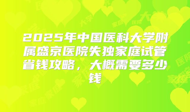 2025年中国医科大学附属盛京医院失独家庭试管省钱攻略，大概需要多少钱