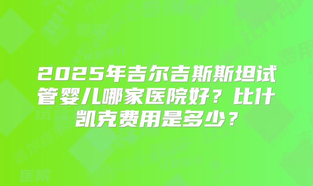 2025年吉尔吉斯斯坦试管婴儿哪家医院好？比什凯克费用是多少？