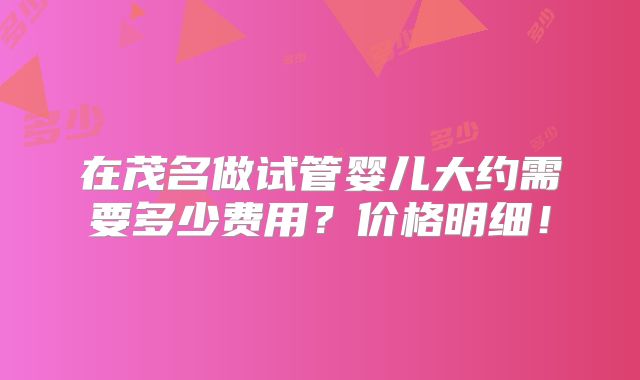 在茂名做试管婴儿大约需要多少费用？价格明细！