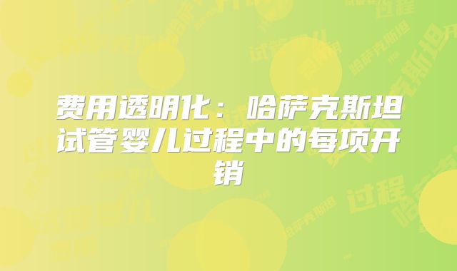 费用透明化：哈萨克斯坦试管婴儿过程中的每项开销