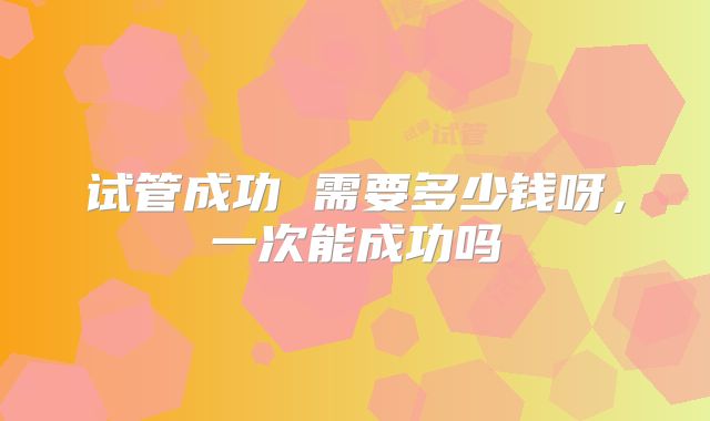 试管成功 需要多少钱呀,一次能成功吗