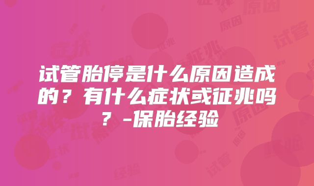 试管胎停是什么原因造成的？有什么症状或征兆吗？-保胎经验