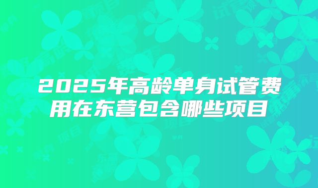 2025年高龄单身试管费用在东营包含哪些项目