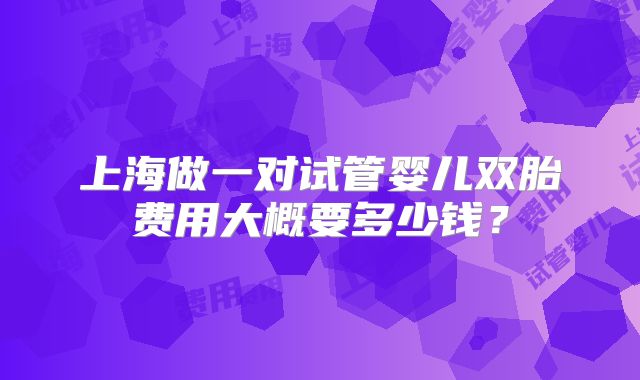 上海做一对试管婴儿双胎费用大概要多少钱？