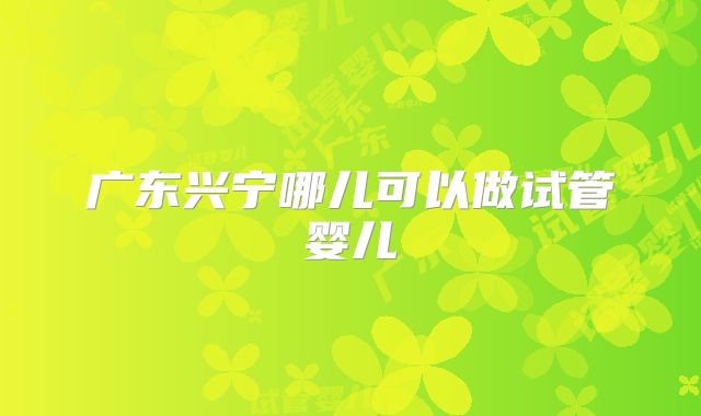 广东兴宁哪儿可以做试管婴儿