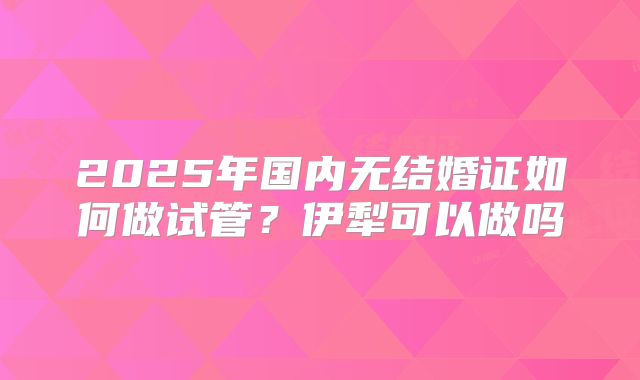 2025年国内无结婚证如何做试管?伊犁可以做吗