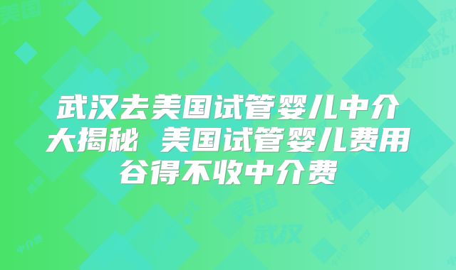 武汉去美国试管婴儿中介大揭秘 美国试管婴儿费用谷得不收中介费
