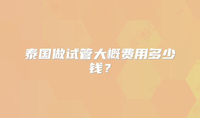 泰国做试管大概费用多少钱？
