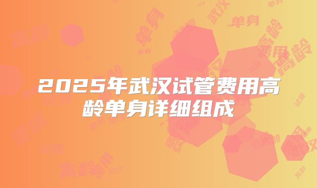 2025年武汉试管费用高龄单身详细组成