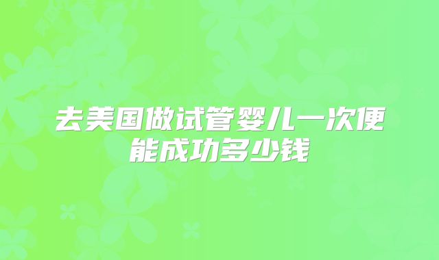 去美国做试管婴儿一次便能成功多少钱