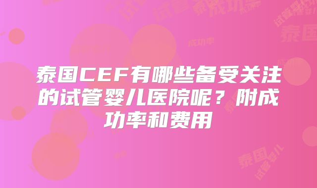 泰国CEF有哪些备受关注的试管婴儿医院呢？附成功率和费用