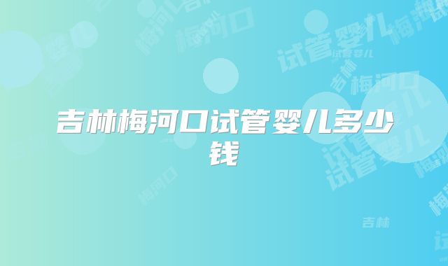 吉林梅河口试管婴儿多少钱