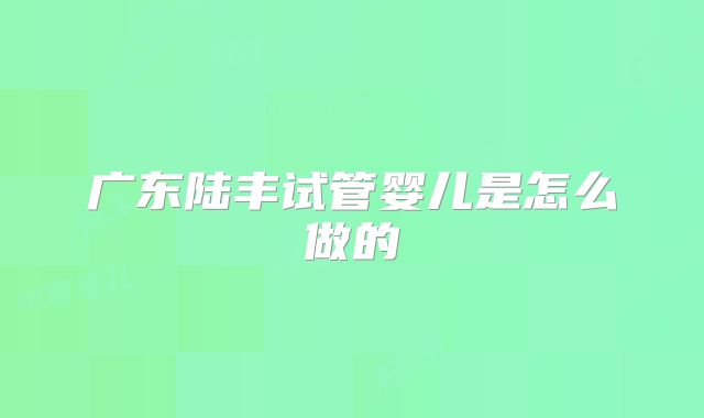 广东陆丰试管婴儿是怎么做的
