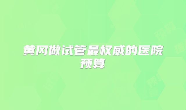 黄冈做试管最权威的医院预算