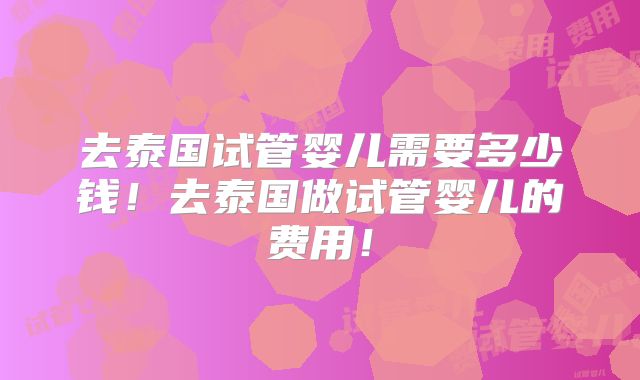 去泰国试管婴儿需要多少钱！去泰国做试管婴儿的费用！