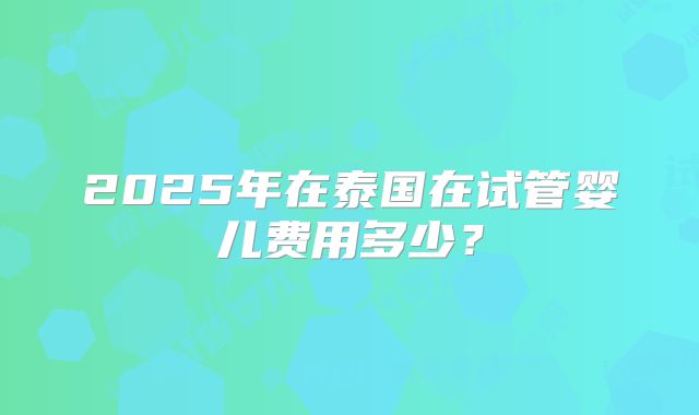 2025年在泰国在试管婴儿费用多少？