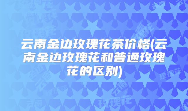 云南金边玫瑰花茶价格(云南金边玫瑰花和普通玫瑰花的区别)