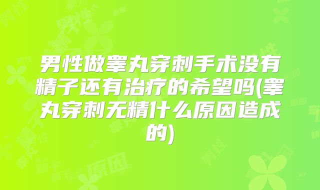 男性做睾丸穿刺手术没有精子还有治疗的希望吗(睾丸穿刺无精什么原因造成的)